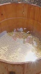 传统磨豆浆石磨研磨黄豆视频的预览图